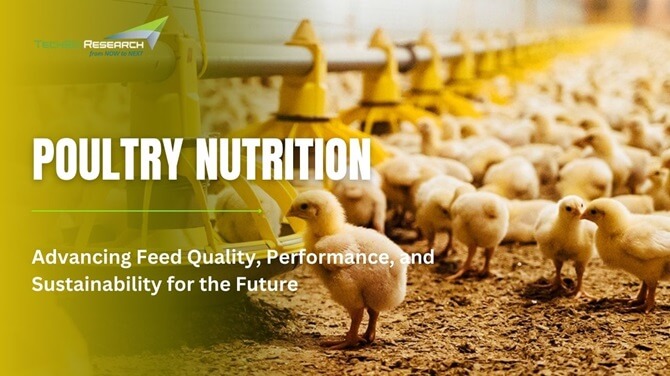 Poultry Nutrition